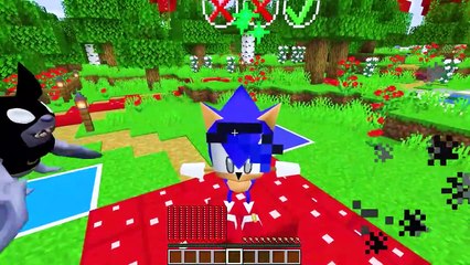 Minecraft but I'm TV WOMAN