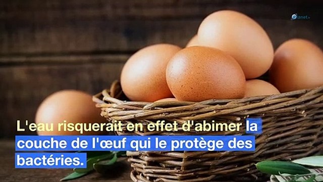 Crus ou cuits : peut-on mettre des œufs au congélateur ?