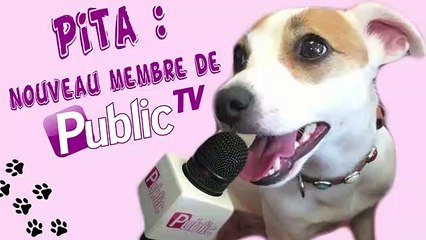 L’interview exclusive de Pita, la chienne de Nabilla  !