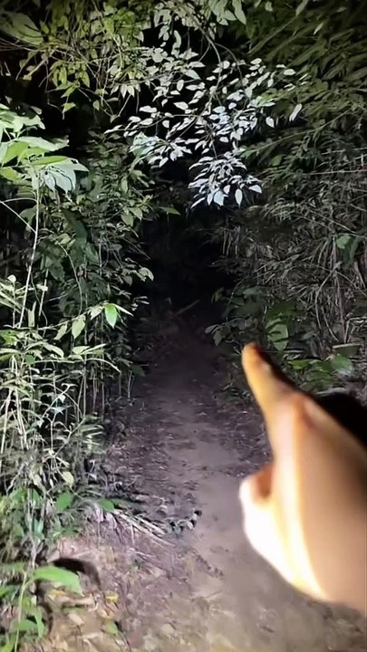 Paranormal activity ghost on camera part 215