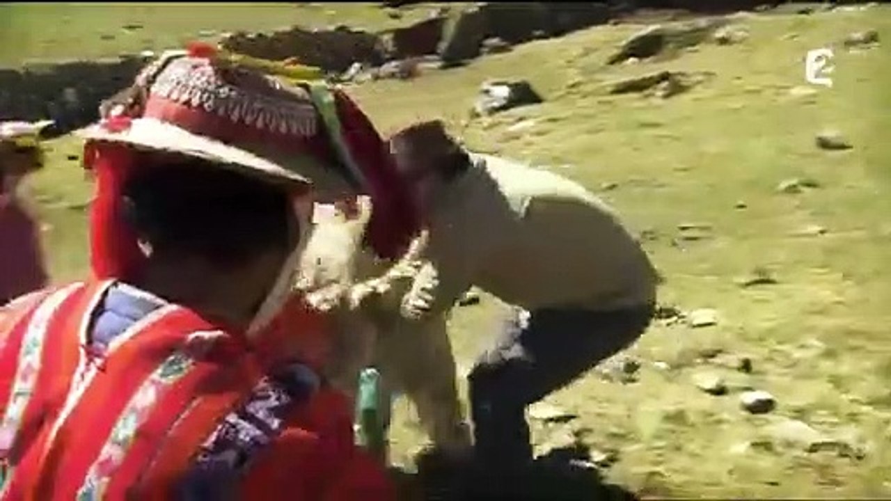 Un lama crache sur Arthur dans Rendez-vous en terre inconnue