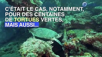 L'ouragan Walaka vient d'englouti  une île toute entière