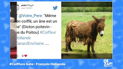 #CoiffeurGate : l'incroyable salaire du coiffeur de Hollande inspire les internautes