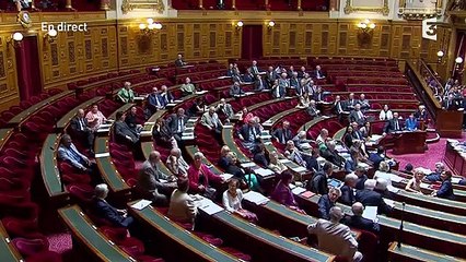 "Etes-vous macs ou sénateurs ?" : quand les Femen font irruption au Sénat