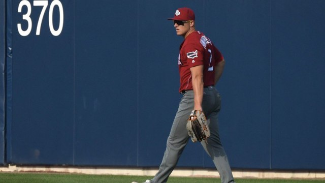 Allentown's Minor League Baseball: A Grand Slam Experience