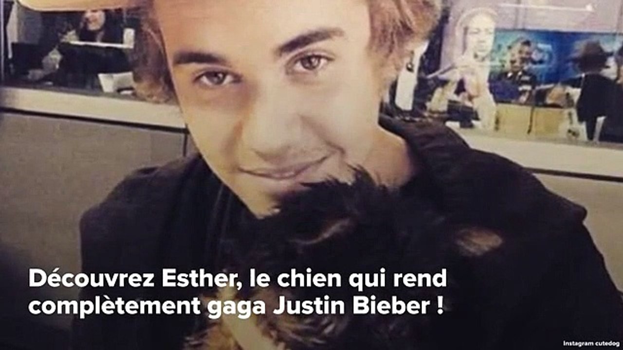 INSTACUTE : Découvrez Esther, le chien qui rend complètement gaga Justin Bieber !
