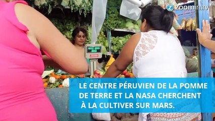 Révolutionnaire: la culture de pommes de terre sur Mars