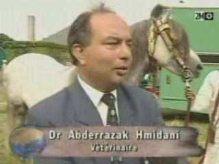 Fantasia marocaine a Paris equestre cheval Part 2 2