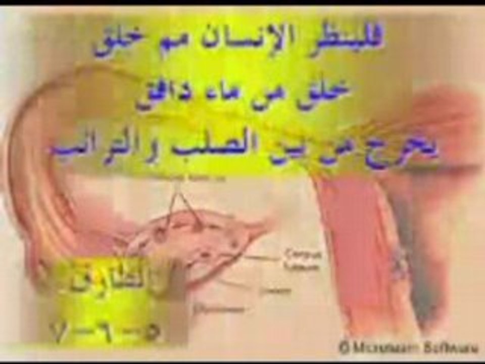 10-scientific miracles in the holy quran