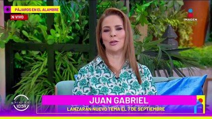 Acusan de PLAGIO a Karol G por el tema 'Don't Be Shy'