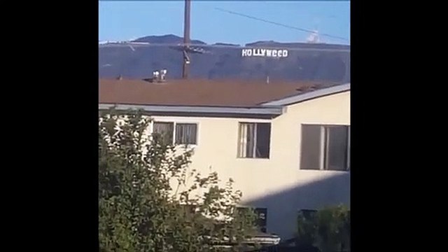 Public Buzz : Quand Hollywood devient Hollyweed pour fêter la légalisation du cannabis !