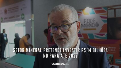 Setor mineral pretende investir 14 bilhões de dólares no Pará até 2027