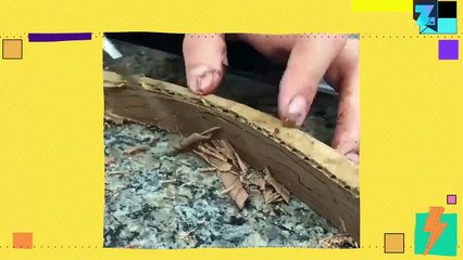 De quoi vous mettre l'eau à la bouche