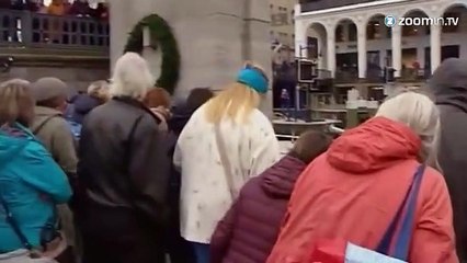 Hambourg: des dizaines de cygnes déplacés pour l'hiver