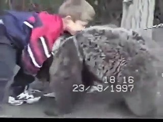 Un enfant de 9 ans, futur champion de free fight, lutte avec un ourson