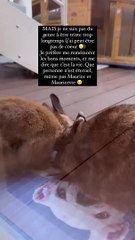 Malgré ces coups durs, la sportive garde le moral et publie une adorable vidéo des deux lapins avec un message positif
