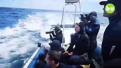 Vidéo choc : ce plongeur a été avalé (et recraché) par une baleine !