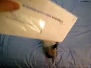 Le lapin qui ouvre le courrier !