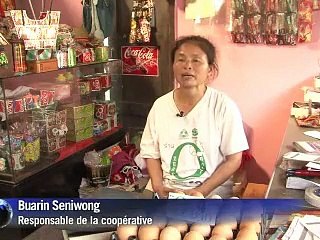 Thaïlande: quand la survie se cache dans les poubelles