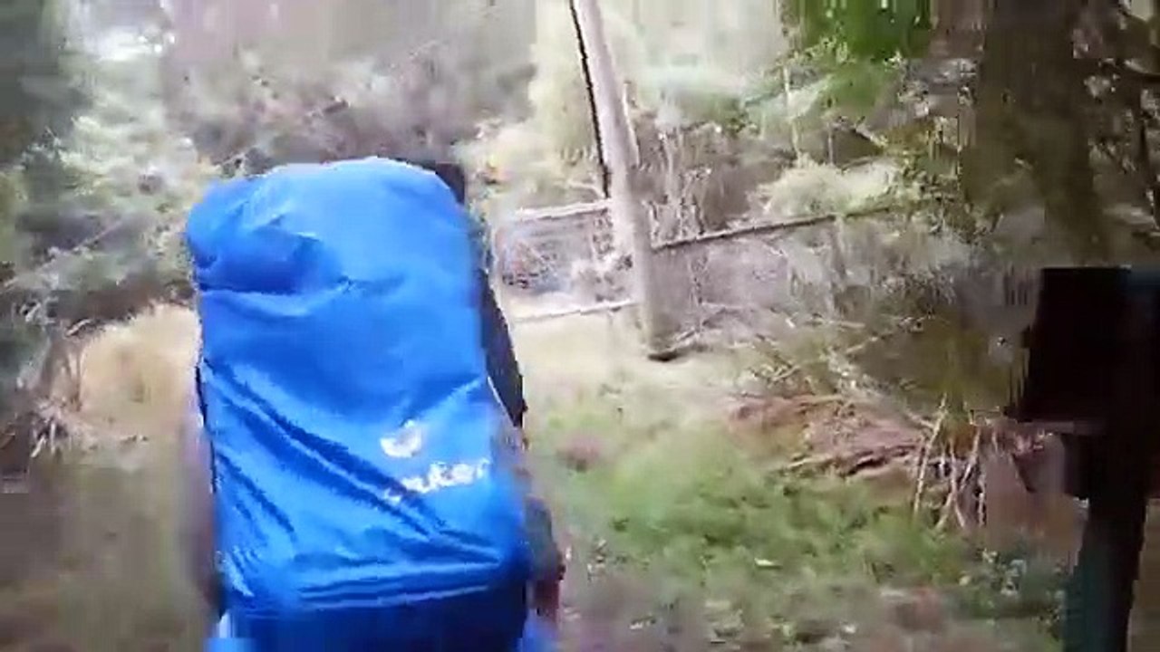 Des Français filment l'effondrement du pont qu'ils traversent en Nouvelle-Zélande !