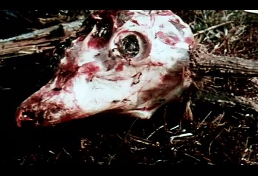 Terre Brûlée Bande-annonce (EN)