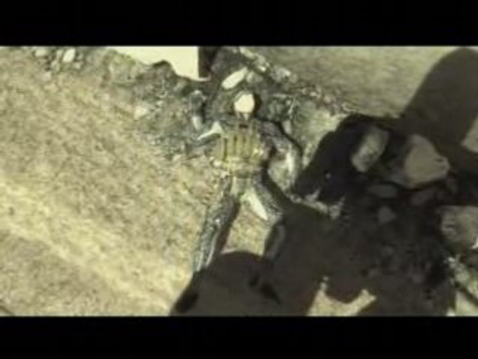 Mgs4