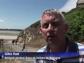 Nouveaux cadavres de sangliers découverts dans une baie bretonne