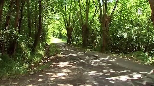 Un corps dépecé et décapité à Tarnos dans les Landes