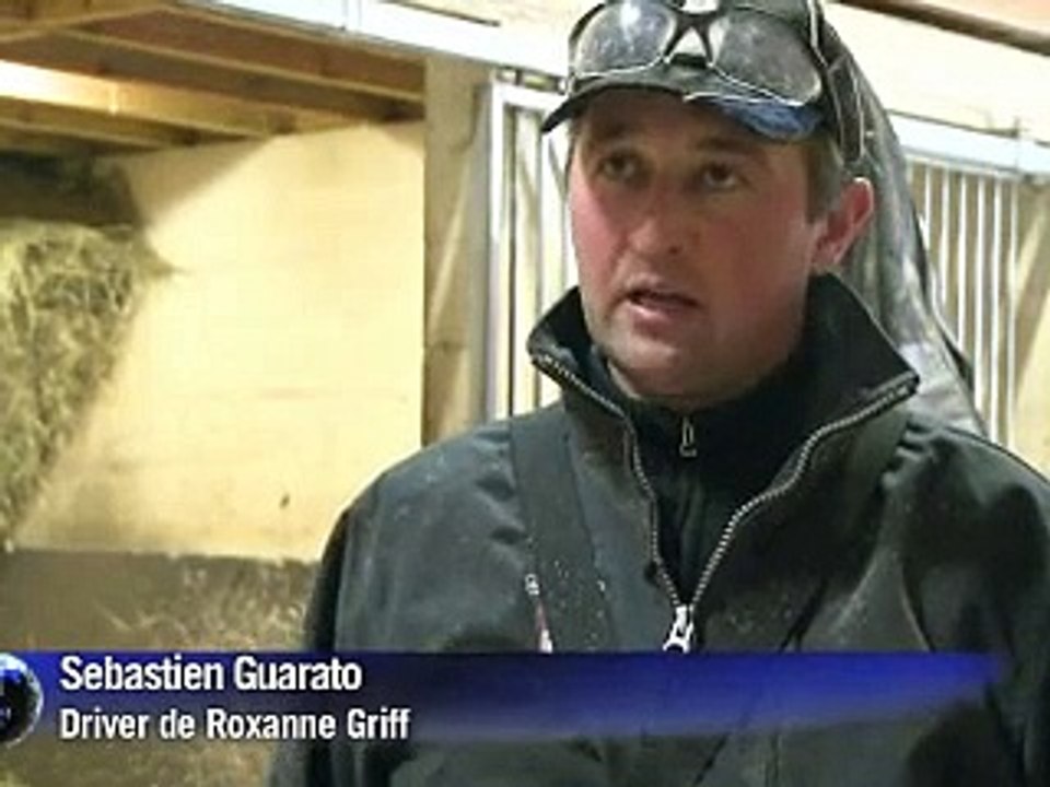 Prix d'Amérique: Ready Cash, en piste à Vincennes pour un deuxième sacre