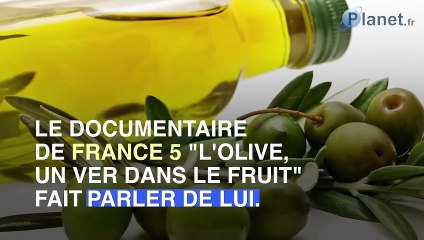 Des fausses olives noires sont en circulation