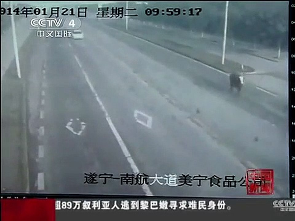 Un taureau charge un scooter sur l'autoroute