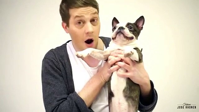 Réactions de chiens face à un tour de magie