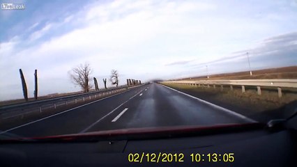 Une nuée d'oiseaux sur l'autoroute !