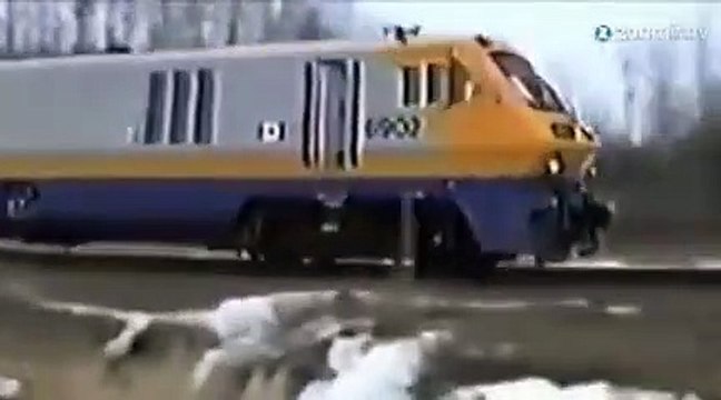 Paniqué, il saute du train en marche