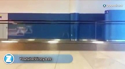 Le premier vélo à mécanique humaine