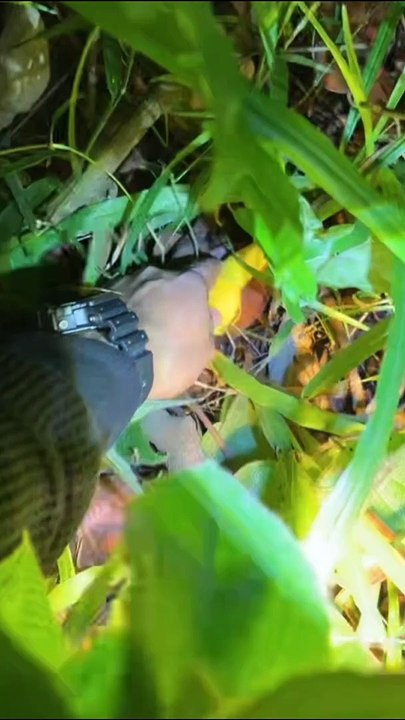 Paranormal activity ghost on camera part 219