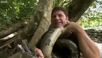 Volontairement, il se fait étrangler par un boa constrictor