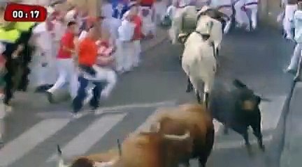 Premier lâcher de taureaux, olé!