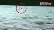 Nouvelle apparition du monstre du Loch Ness ?