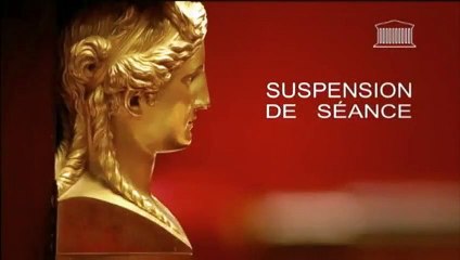 Mariage pour tous : bagarre générale à l'Assemblée