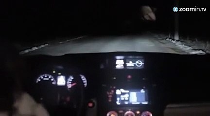 Buzz : un chien fait le mort pour voler une voiture