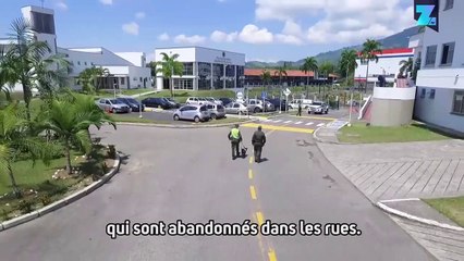 Les gardiens canins de Colombie