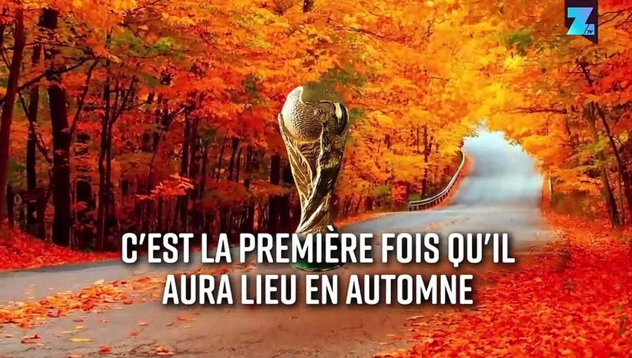 La Coupe du Monde aura lieu dans 4 ans tout juste