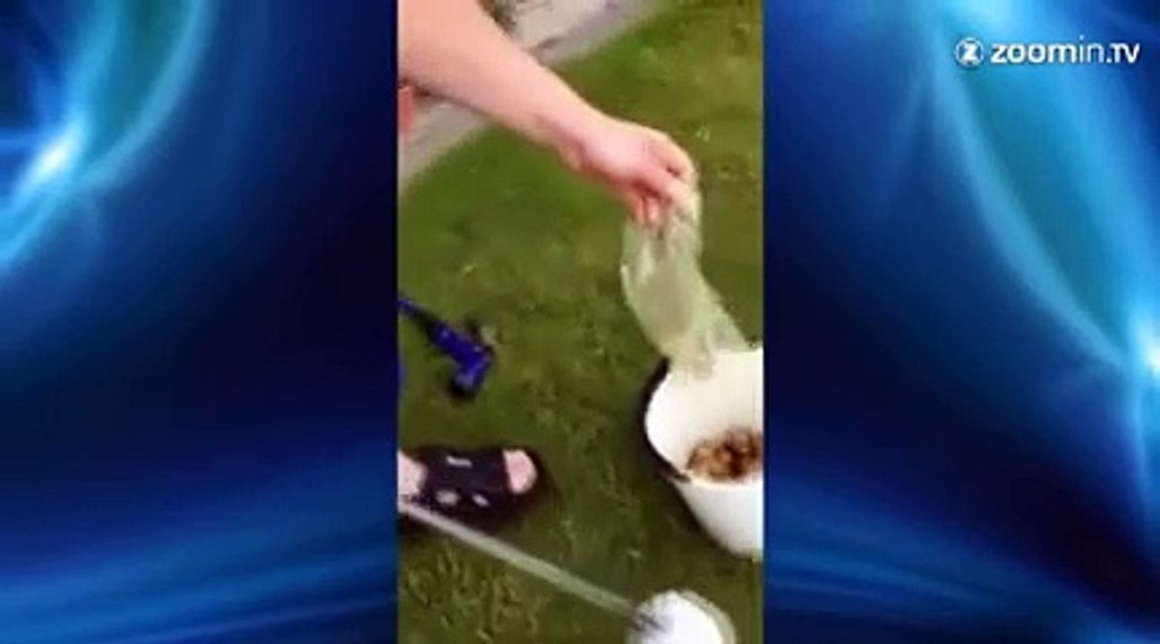 Éplucher des pommes de terre devient un jeu d'enfant