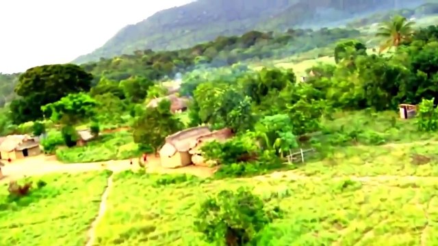 National Geographic Wild Anaconda Nat Geo animals Documentary HD 2023