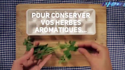 Un bon truc pour conserver ses herbes aromatiques