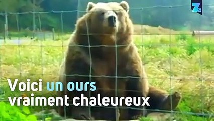 Cet ours vous salue bien bas !