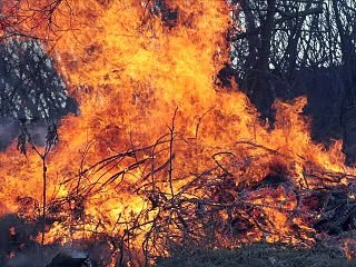Le Journal vidéo du lundi 31 octobre 2011, édition de 12H00