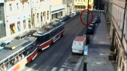 Un sanglier sauvage affole les rues de Prague