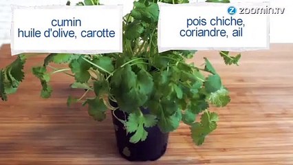 Recette facile pour bébé : les falafels